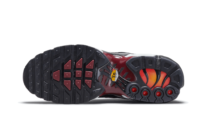 Nike-Air-Max-Plus-Sisterhood-DO6115-500-3_800x.png
